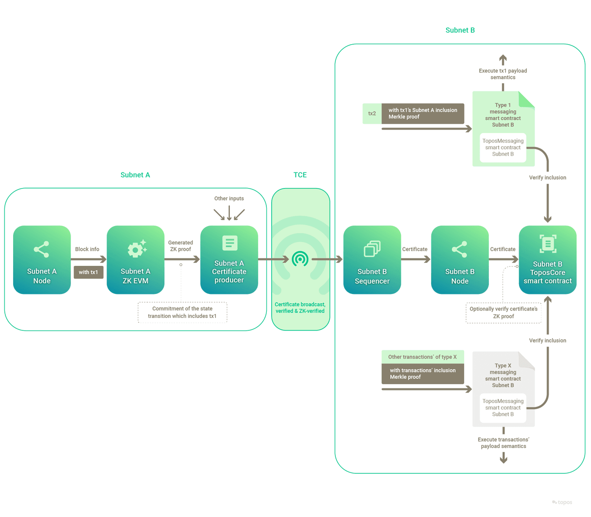 Zero-knowledge lifecycle